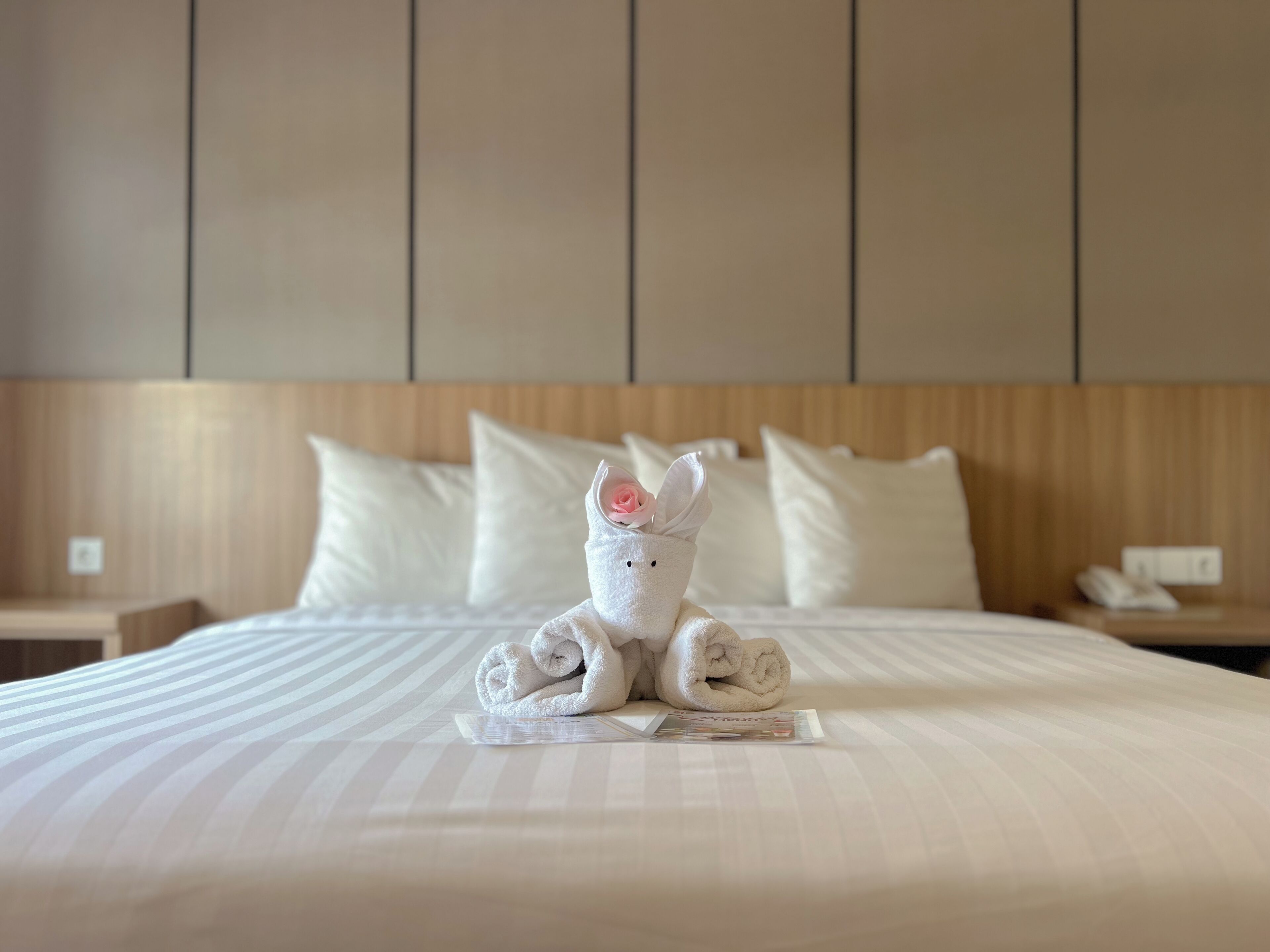 A hotel room with a neatly made bed, a plush toy with a rose, and a bedside table with a phone.