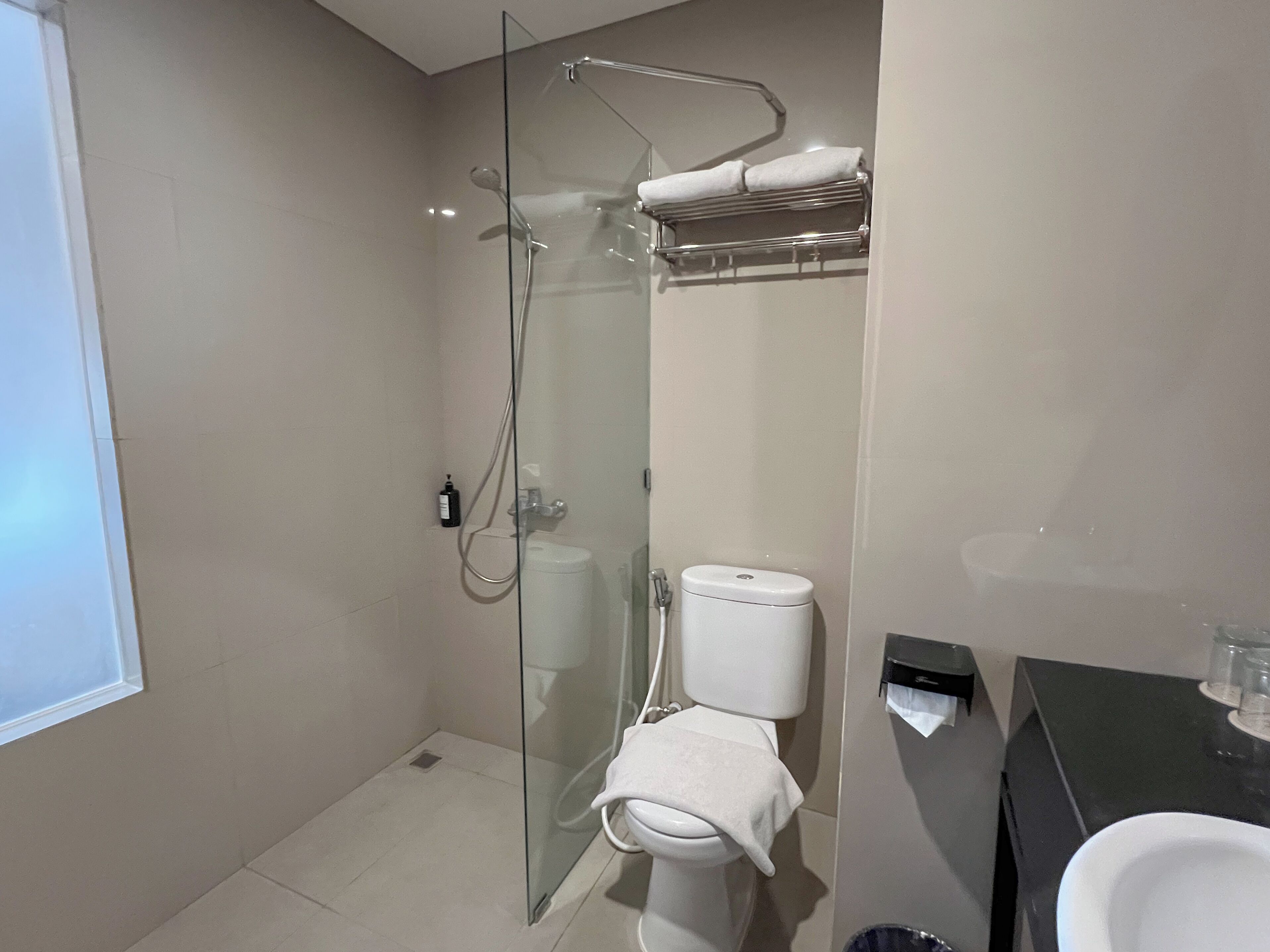 A modern bathroom with a glass-enclosed shower, a toilet, and a sink.