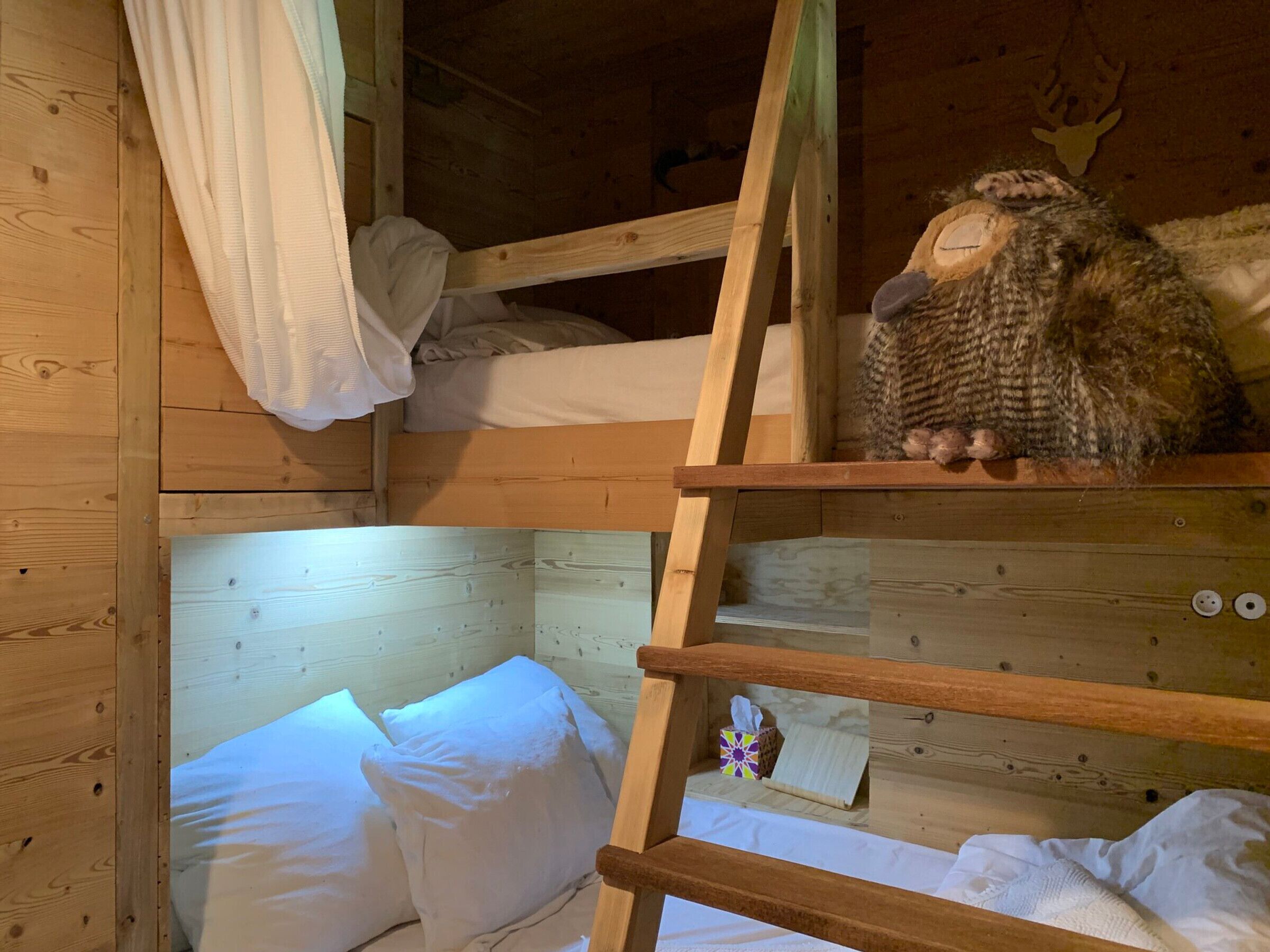 Un lit superposé avec une échelle en bois, un animal en peluche et une boîte de mouchoirs.