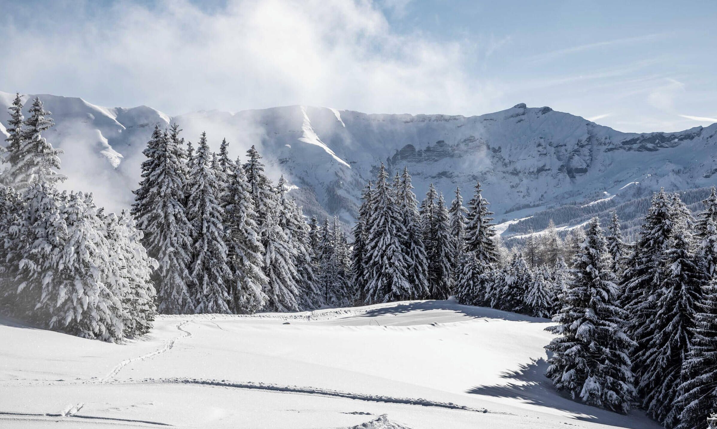 A snowy mountain landscape with evergreen trees and a clear sky.