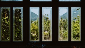 Une série de fenêtres donnant sur un paysage verdoyant et des montagnes.