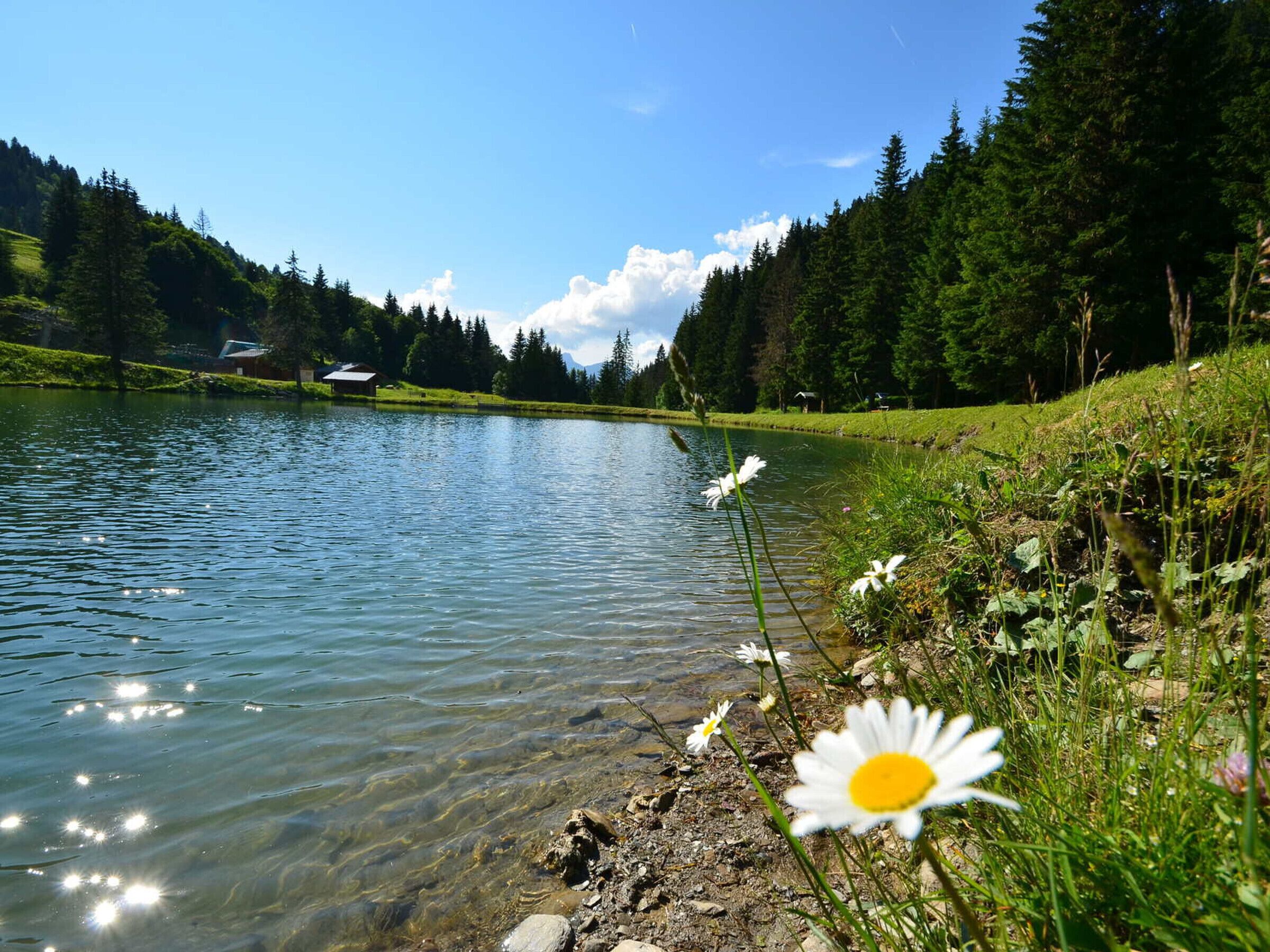Un lago tranquilo con aguas claras, rodeado de exuberante vegetación y algunos edificios a lo lejos.