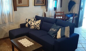 TV, fireplace, books