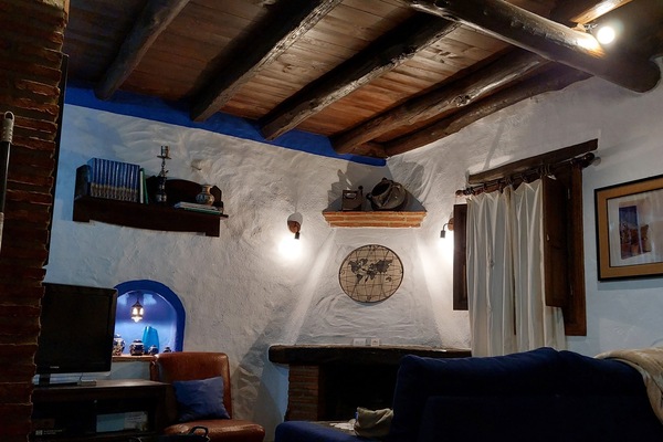 TV, fireplace, books