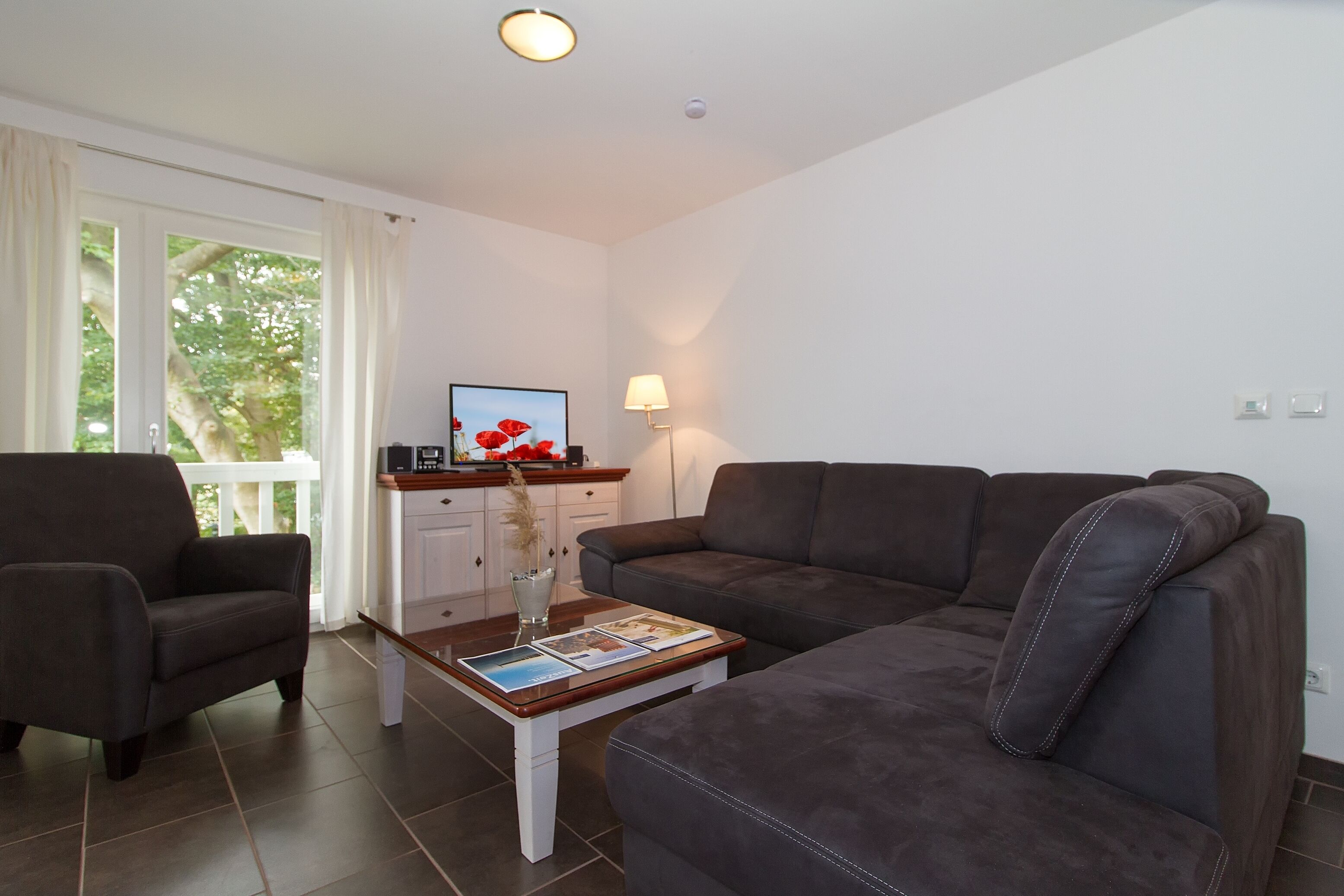 Télévision, cheminée, chaîne hi-fi