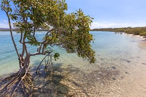 Una spiaggia nelle vicinanze