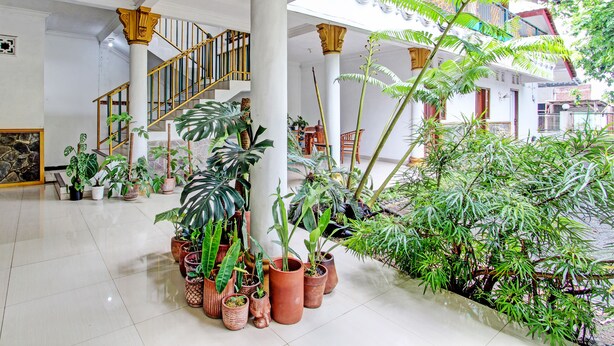 A spacious lobby with a central staircase, multiple potted plants, and a view of the outside balcony.