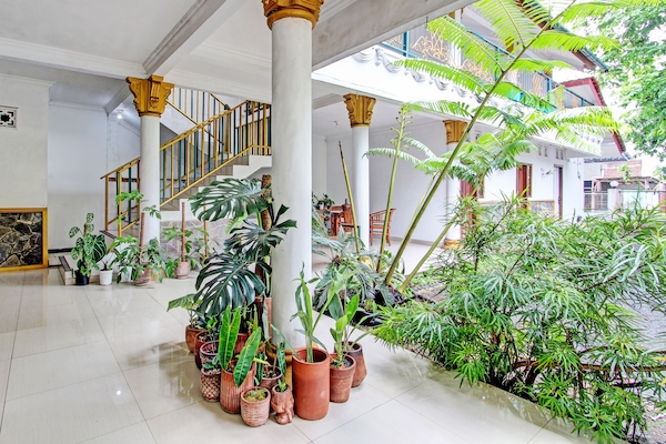 Garden view