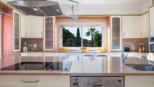 Une cuisine moderne dotée d’une plaque de cuisson en verre, d’appareils électroménagers en acier inoxydable et offrant une vue sur les palmiers.
