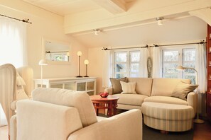 TV, lareira, DVD player, livros