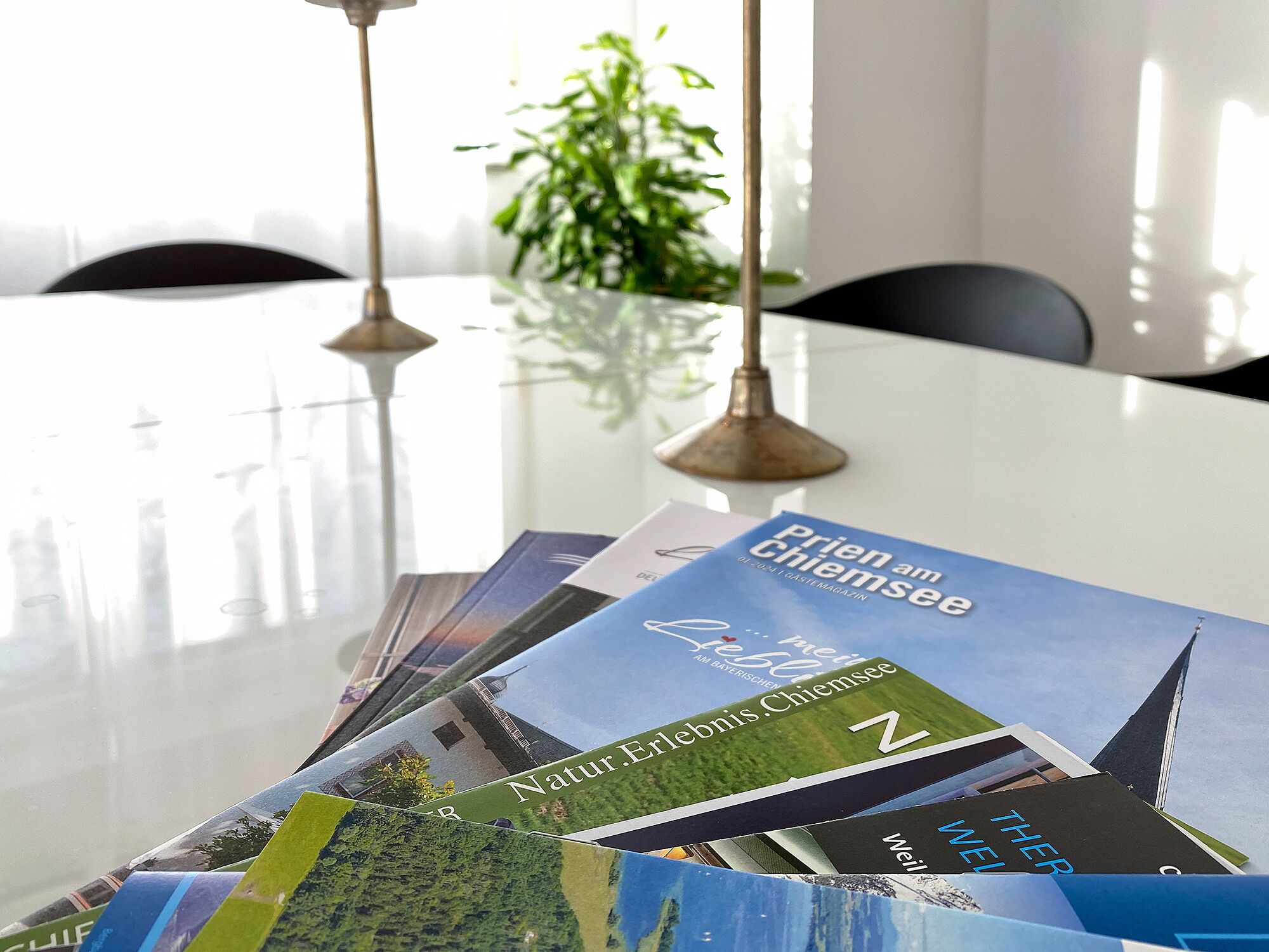Une table sur laquelle sont disposées des brochures, ainsi qu’une plante, dans une pièce où se trouve une autre table, également blanche, et des lampes suspendues.