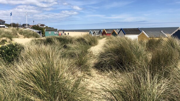 Een strand met duinen en strandhutten op de voorgrond.