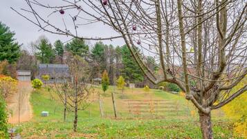 Apartment (0 Bedroom) | Interior