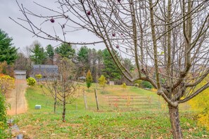 Apartment (0 Bedroom) | Interior - Pet-friendly Pilot Studio w/ Vineyard Views! (Pilot)