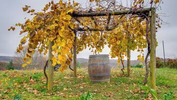 Departamento (0 Bedroom) | Interior