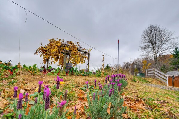Lägenhet (0 Bedroom) | Interiör