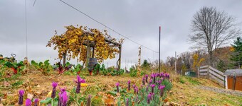 Pet-friendly Pilot Studio w/ Vineyard Views!