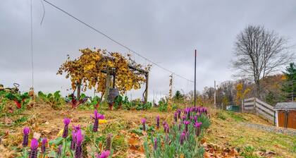 Pet-friendly Pilot Studio w/ Vineyard Views!