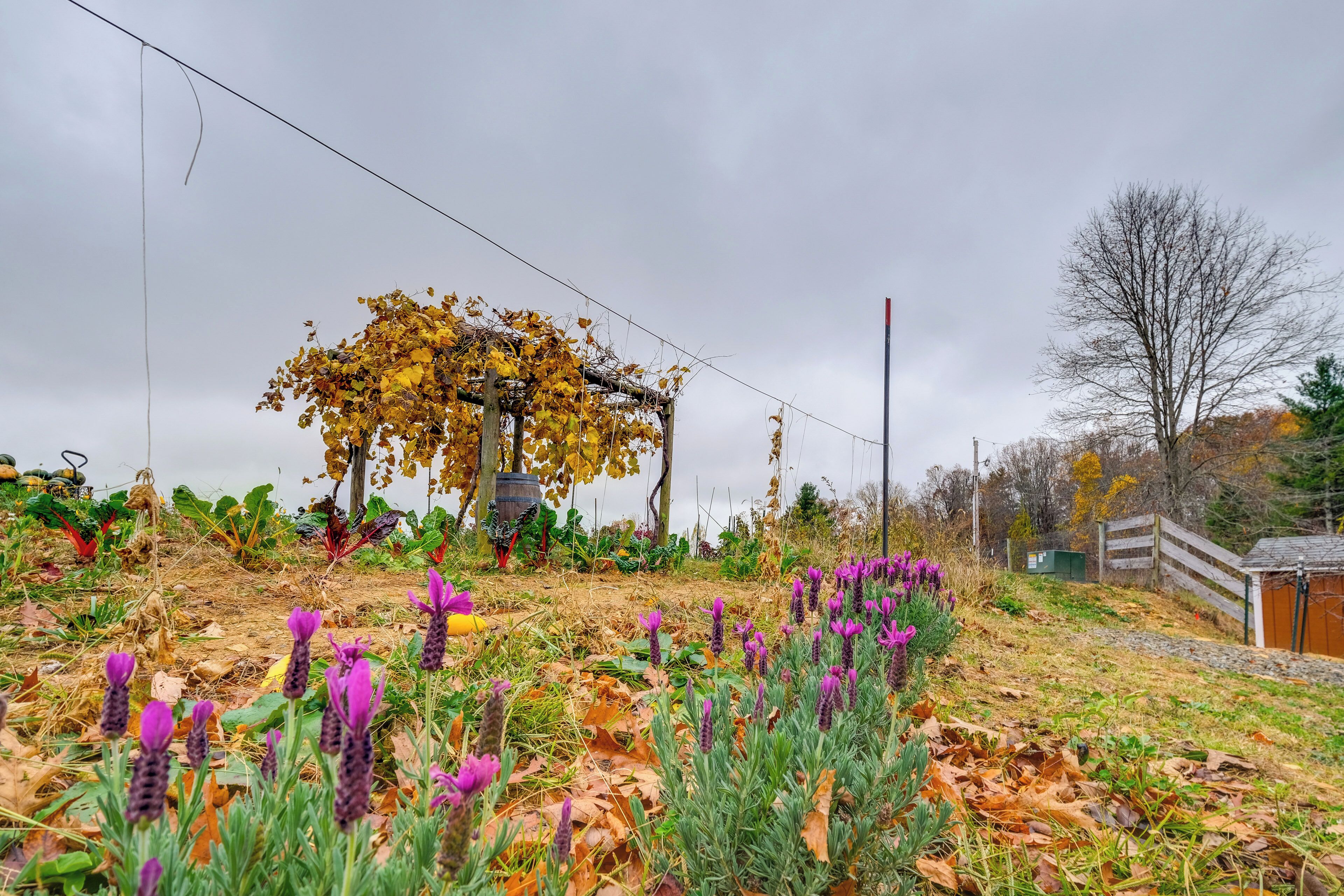 Apartment (0 Bedroom) | Interior