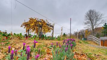 Departamento (0 Bedroom) | Interior