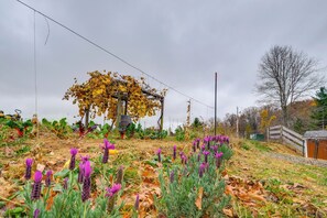 Apartment (0 Bedroom) | Interior