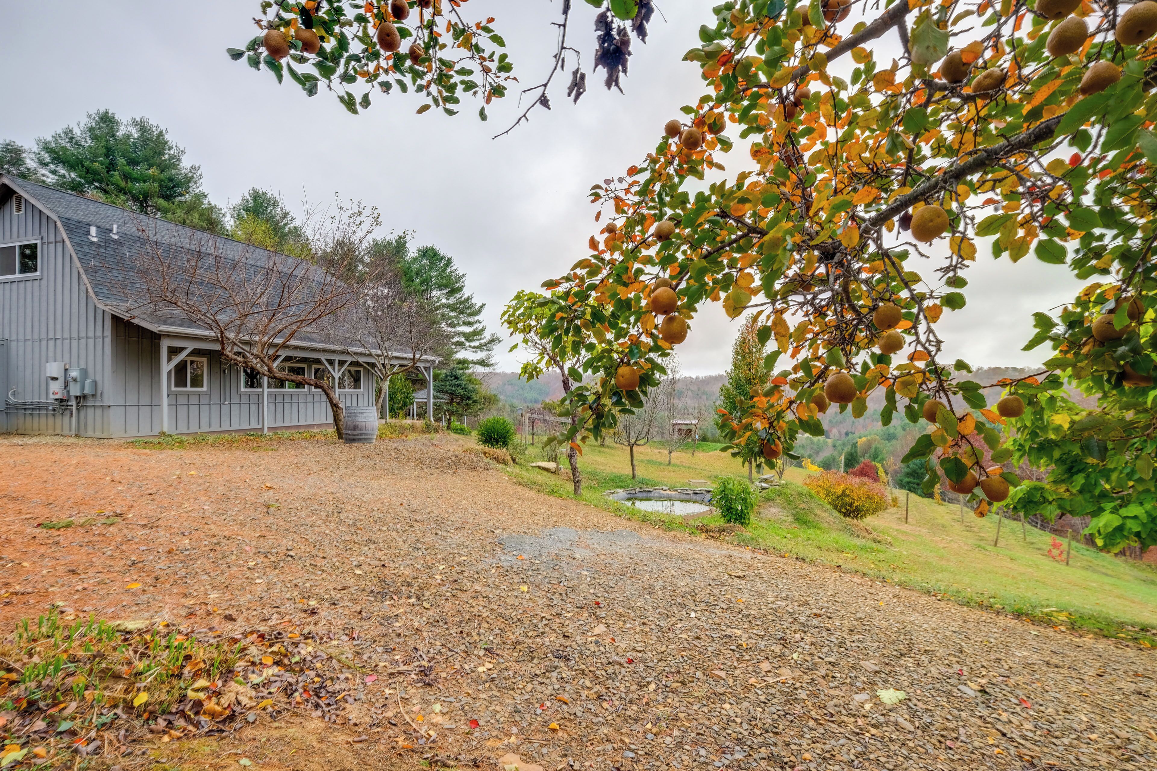 Apartment (0 Bedroom) | Interior