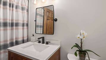Shower, hair dryer, towels, shampoo
