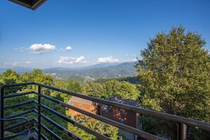 Un balcon doté d’une rambarde en métal, d’où l’on peut admirer un paysage montagneux parsemé d’arbres et sur lequel se trouve un bâtiment.