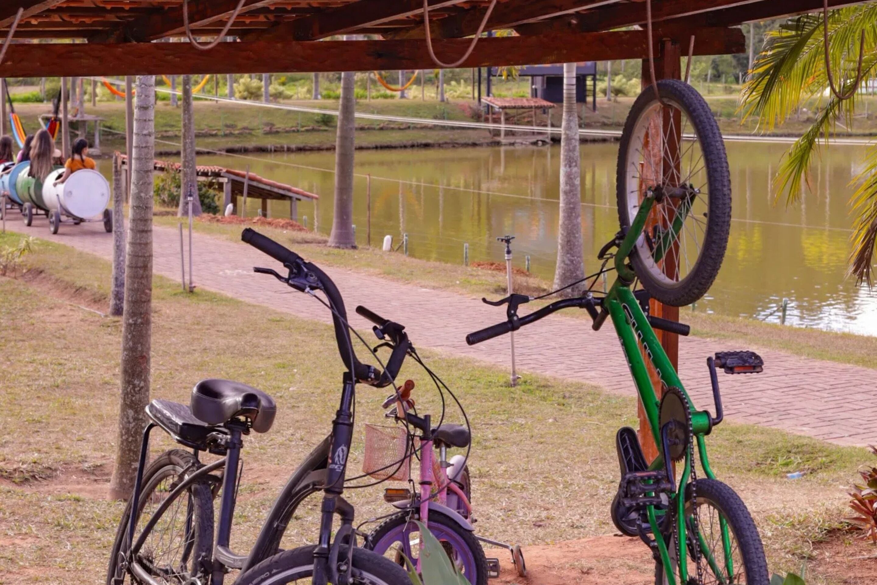 Bicycles parked near a water body, a wooden structure overhead, and a path with greenery.