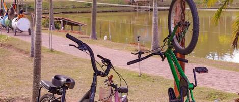 Bicycles parked near a water body, a wooden structure overhead, and a path with greenery.