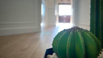 Un cactus en una maceta negra sobre un suelo de madera.