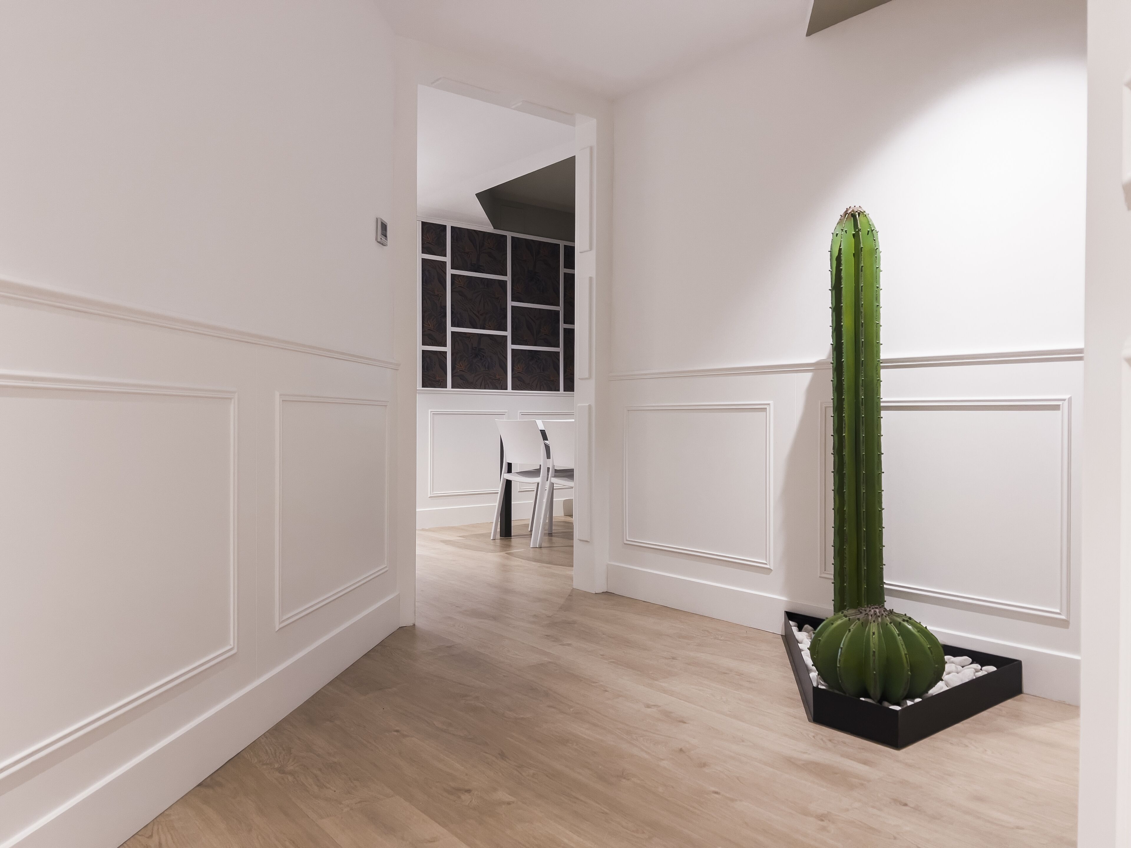 Een gang met witte lambrisering en een cactus in een zwarte pot.