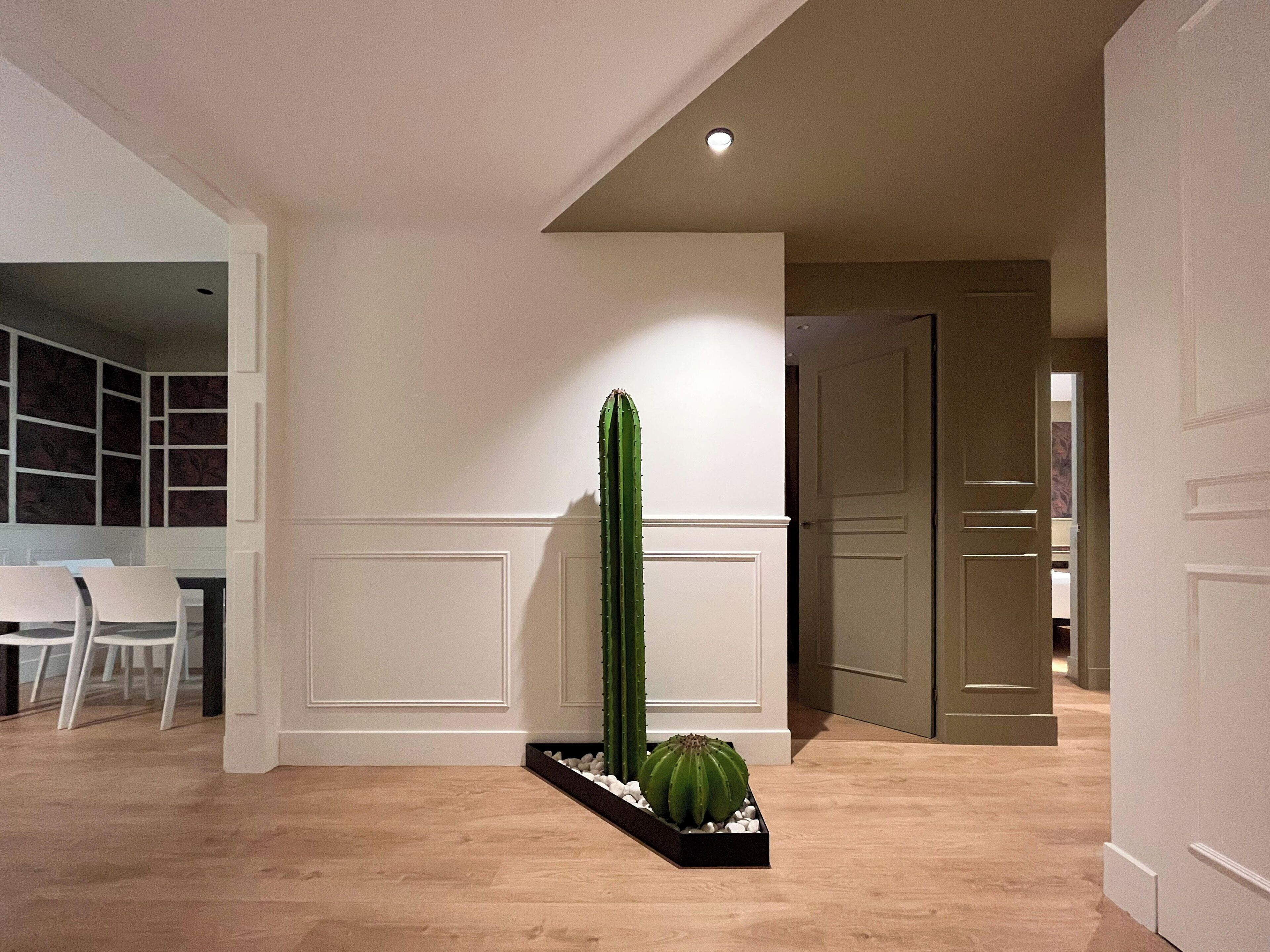A hallway with a cactus plant in a black pot, white walls, and a wooden floor.