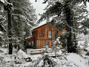 Exteriör