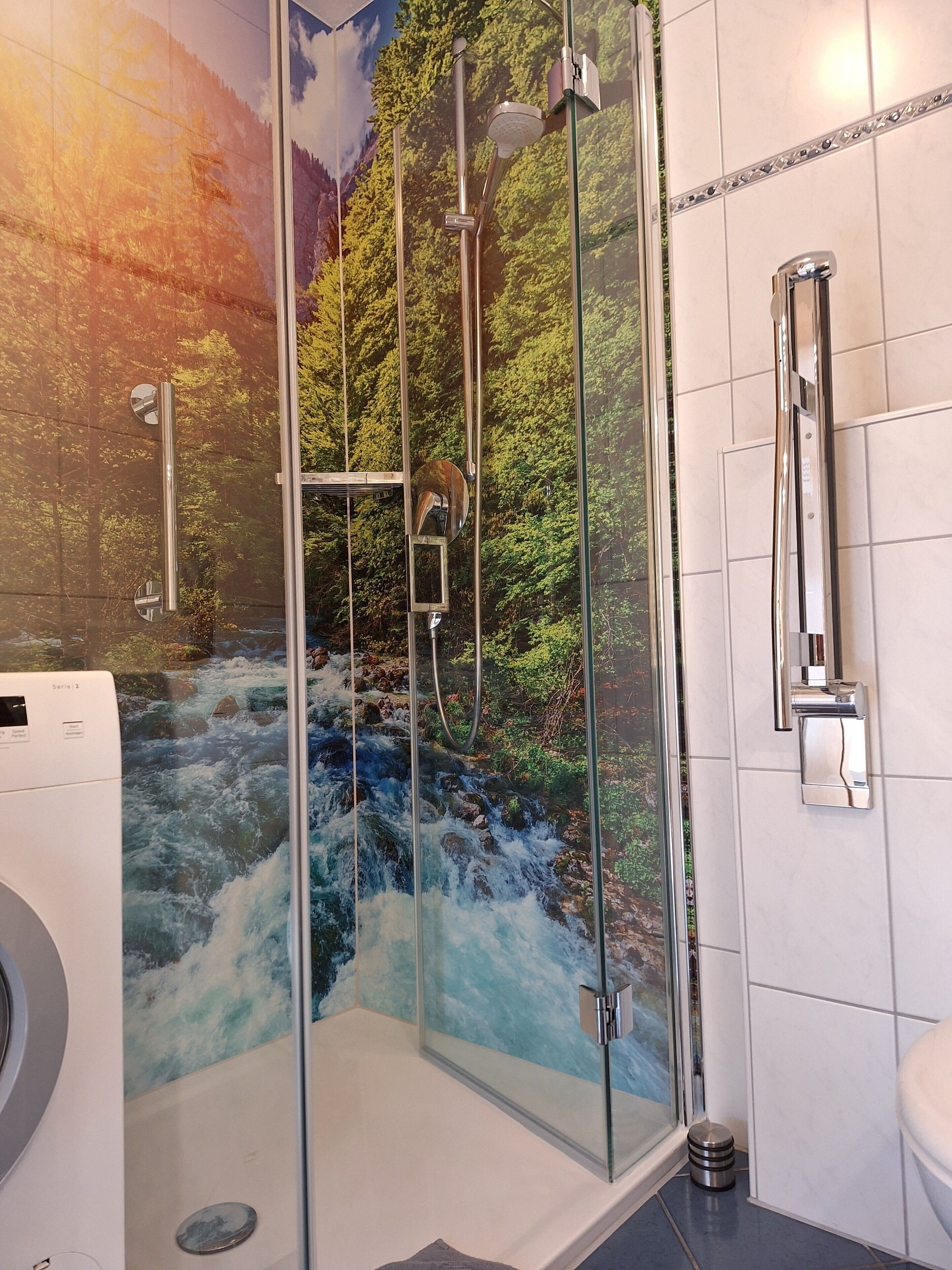 Shower, hair dryer, towels
