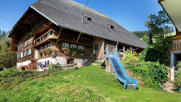 Una casa di legno tradizionale con un tetto spiovente, un portico con fioriere e uno scivolo blu nel giardino.