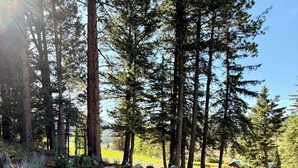 A landscaped garden with stone pathways, white flowers, and tall trees. - Dandy’s Ranch.
Dream Mountain Home! (Morrison)