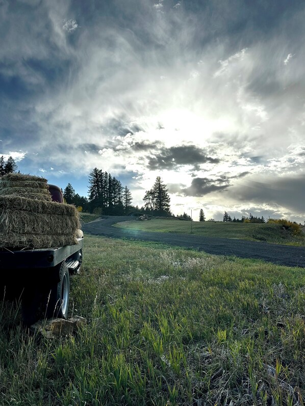A field with hay bales and a vehicle, under a cloudy sky.