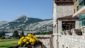 Unclassified image, 5 of 109, button - Monte Rosa  (Cetinje)