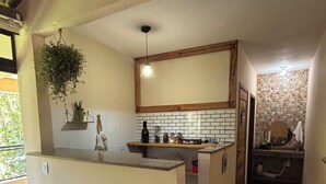 Une cuisine compacte avec un îlot central, une plante suspendue et un mur recouvert de carreaux.
