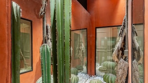 A cactus garden with large cacti and a wooden structure. - Enjoybcn Tallers Apartment (Barcelona)