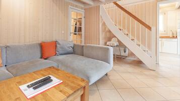 Fernseher, Kamin, DVD-Player