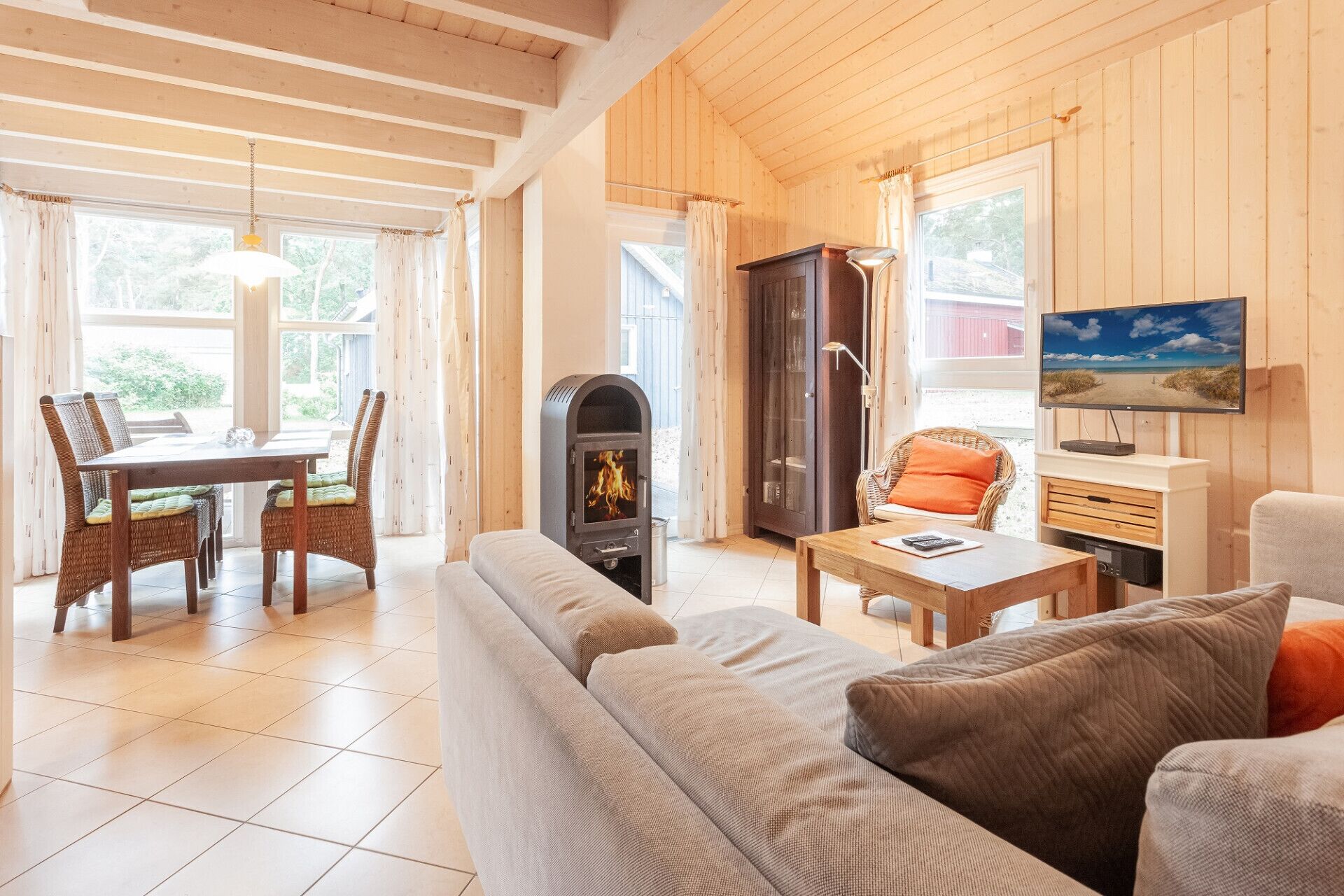 Televisor, llar de foc i reproductor de DVD 