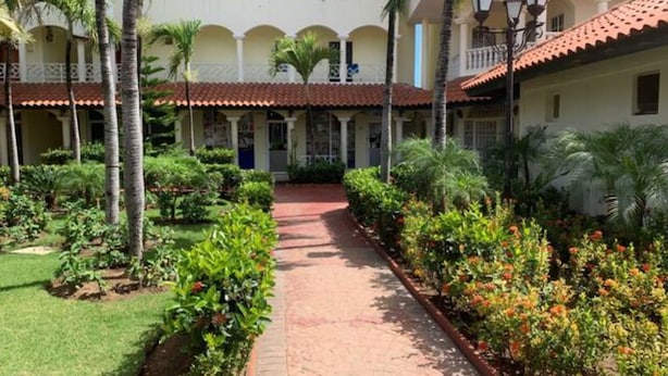 Un patio central con un sendero, rodeado de exuberante follaje y palmeras.
