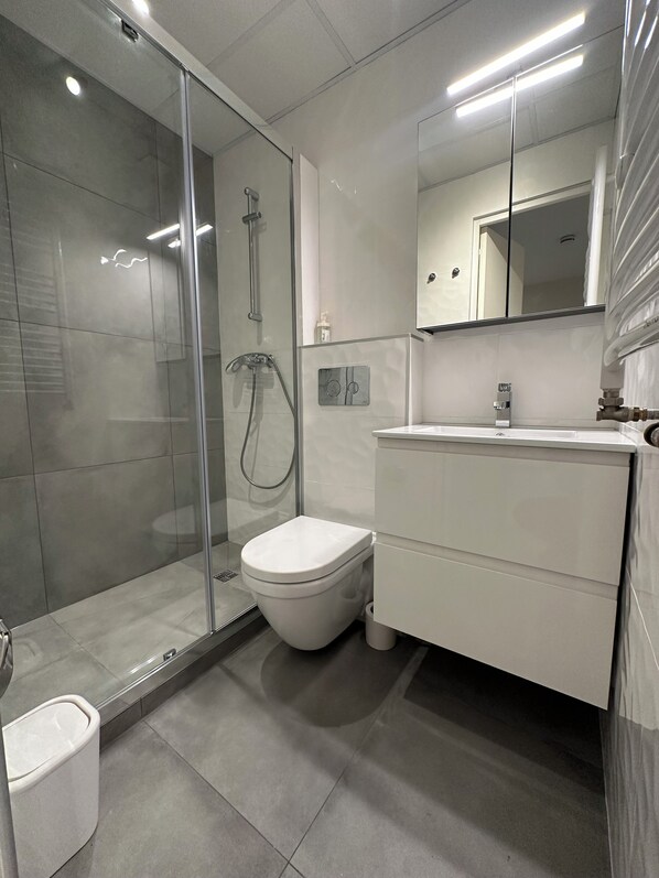 Hair dryer, towels, soap, toilet paper