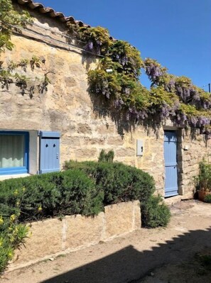 Exterior detail - Charming cottage in San Pantaleo. House "The Wisteria" (San Pantaleo)