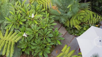 A courtyard with various green plants and a white umbrella.