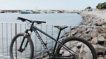 A mountain bike parked on a wooden dock by a rocky shoreline with boats in the background.