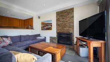 Télévision, cheminée, chaßne hi-fi