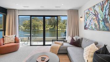 TV, fireplace, books, stereo